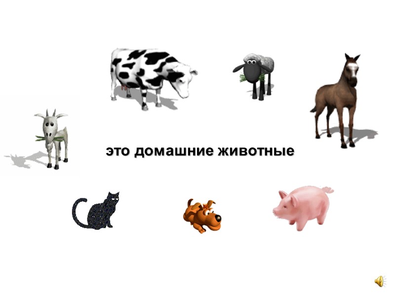 это домашние животные